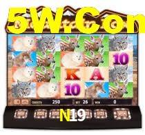 N19